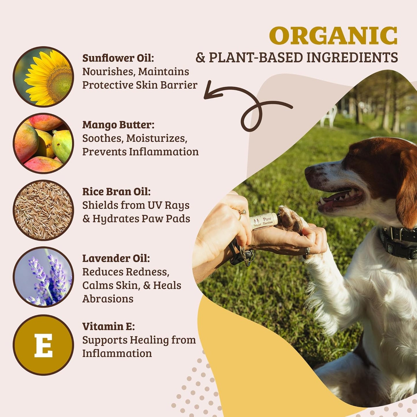 Pawtection Dog Paw Balm, Protects Paws from Hot Surfaces, Sand, Salt, & Snow, Organic, All Natural Ingredients