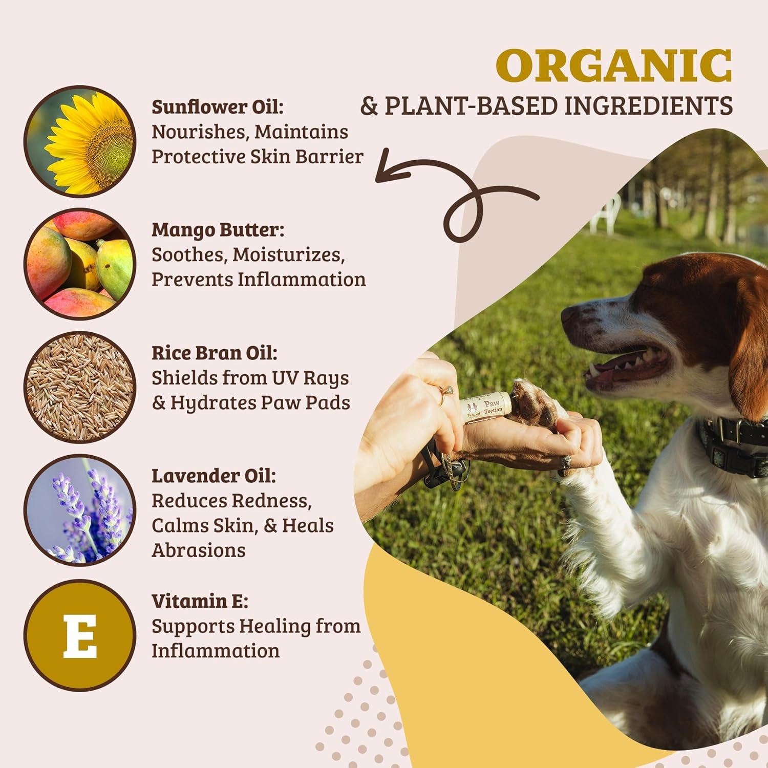 Pawtection Dog Paw Balm, Protects Paws from Hot Surfaces, Sand, Salt, & Snow, Organic, All Natural Ingredients